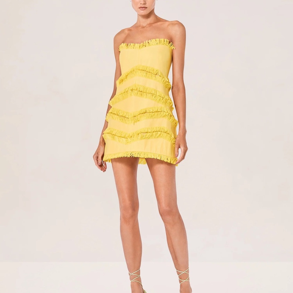 NWOT Alexis Fione Dress